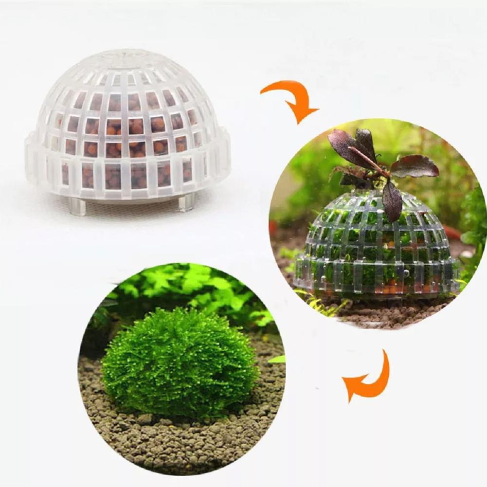 Planted Aquarium Models - 1 st Aquarium Mos Bal Houders