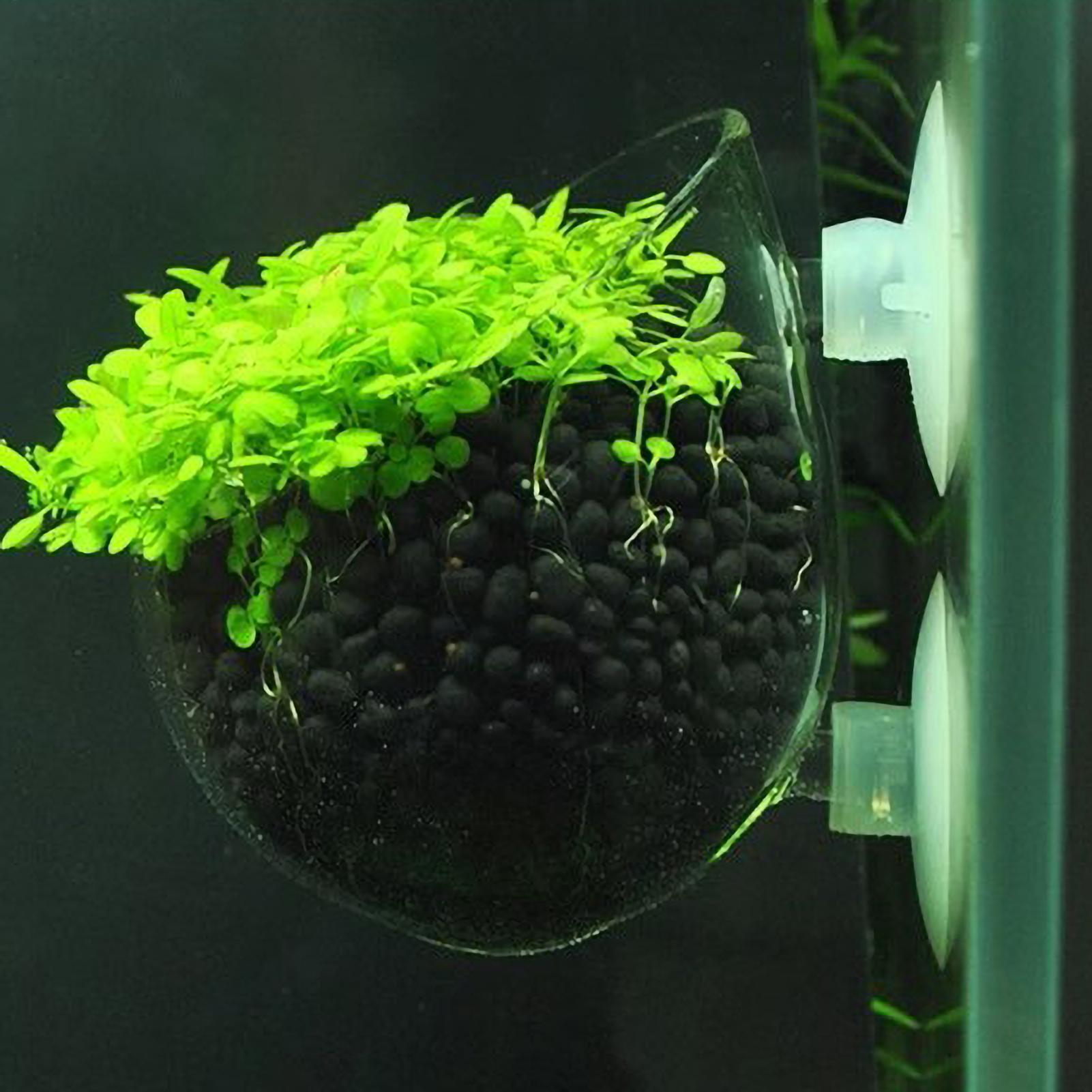 Aquarium Planted Tank Substrate - Aquariumplantenhouder Glazen Aquatische Plantenpot met Zuignappen