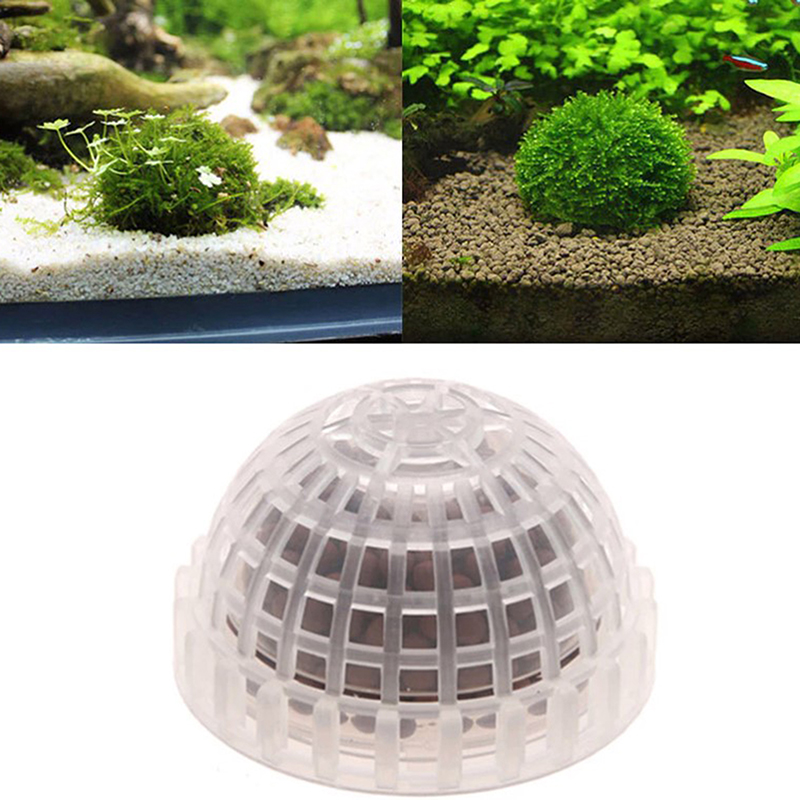 Planted Aquarium Models - 1 st Aquatische Dierbenodigdheden Decoraties Aquarium