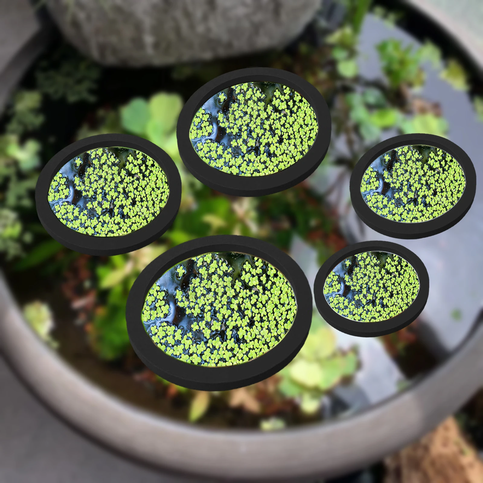 Planted Aquarium With Fish - 5 stks EVA Vis Voeden Ring