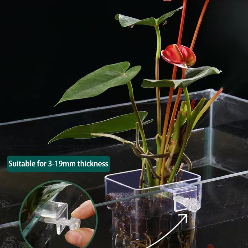 Planted Aquarium With Fish - Multifunctionele Vis Aquarium Watergras Aanplant Cup