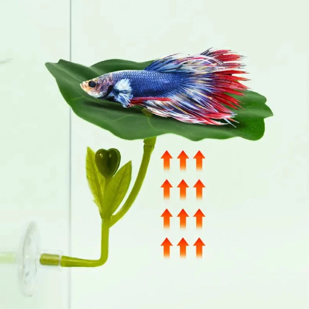 Planted Aquarium For Betta - 1 stuks groene blad betta vis