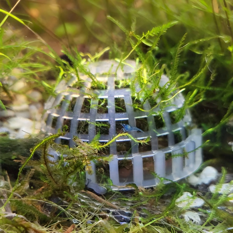 Planted Aquarium Models - 2 st Aquarium Mos Bal Houder,