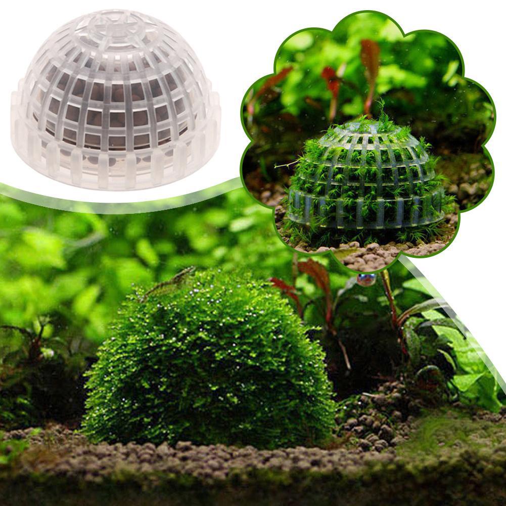 1 st Aquarium Mos Bal Houders  - Planted Aquarium Models recensie en prijs