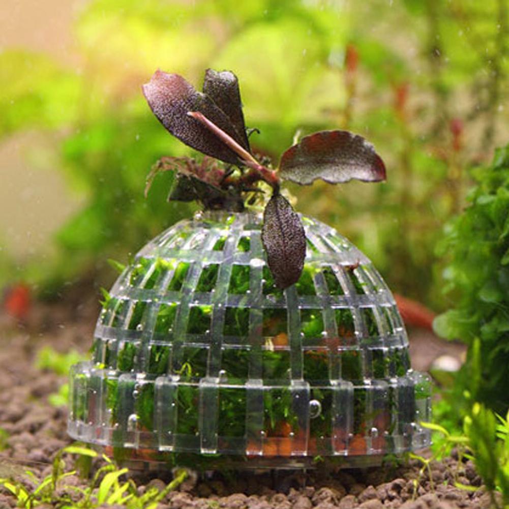 1 st Aquarium Mos Bal Houders  - Planted Aquarium Models recensie en prijs
