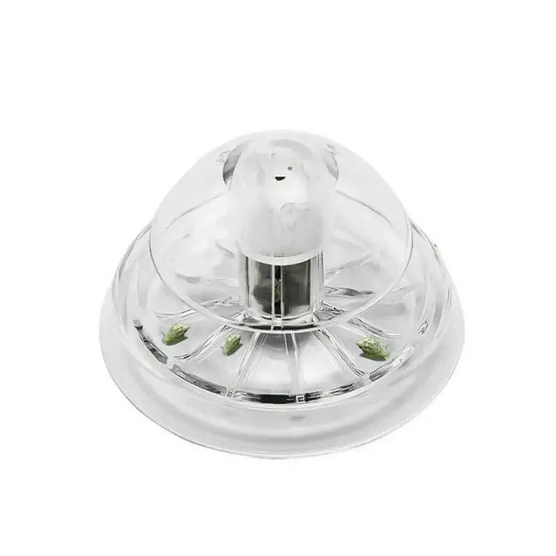 2026 Nieuwe 6/8CM Transparante - Planted Aquarium With Fish recensie en prijs