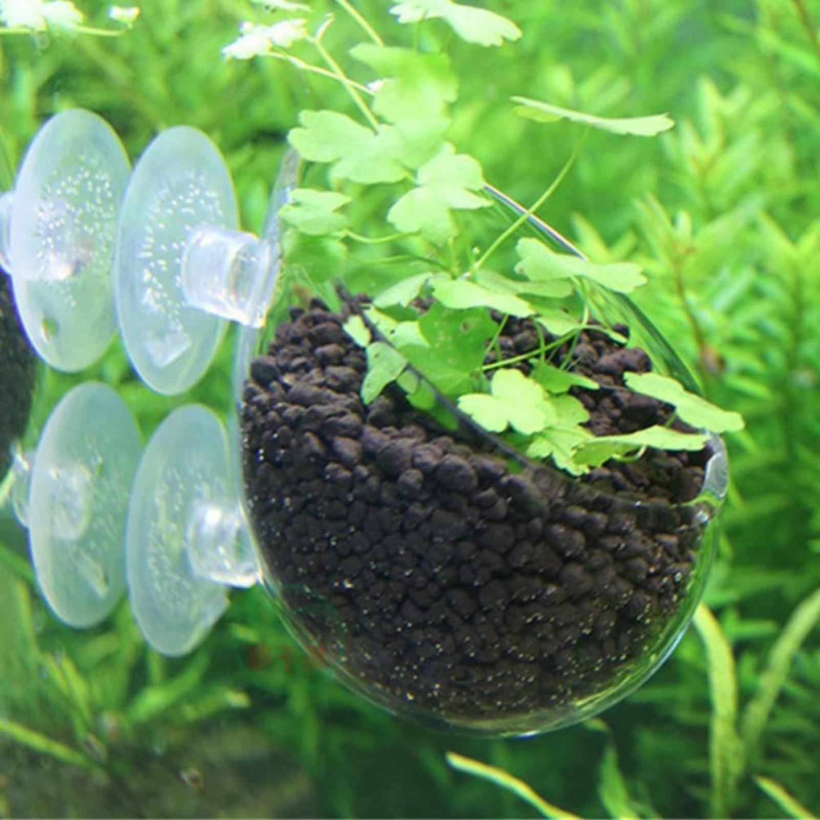 Aquariumplantenhouder Glazen A - Aquarium Planted Tank Substrate recensie en prijs