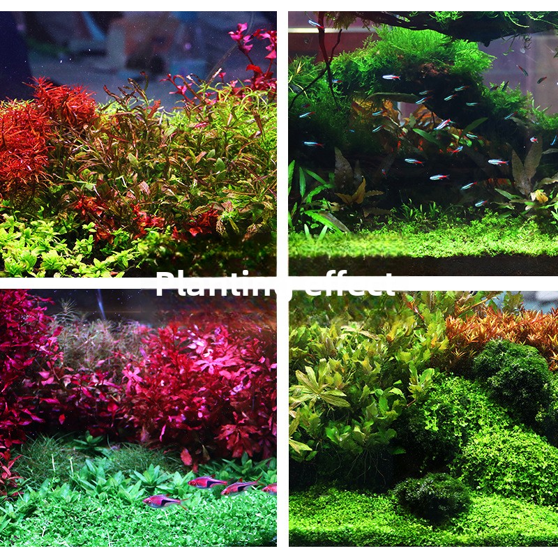 SYSENCIAGA beplant aquariumsub - Aquarium Planted Tank Substrate recensie en prijs