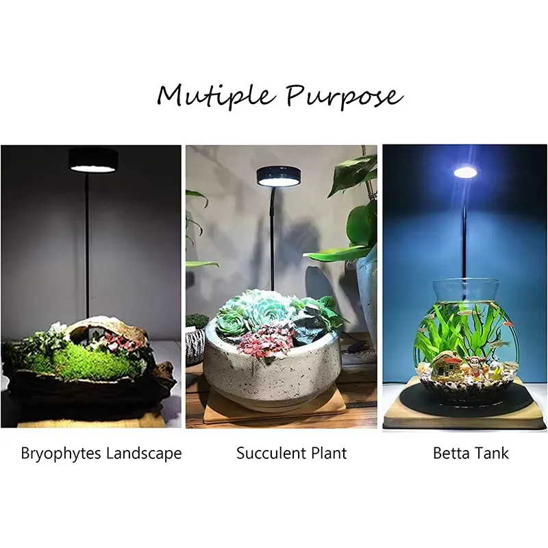 Volspectrum LED-lamp met panee - Planted Aquarium For Betta recensie en prijs