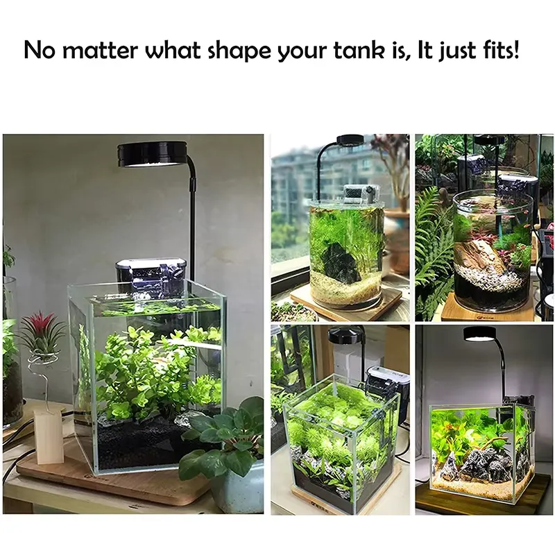 Volspectrum LED-lamp met panee - Planted Aquarium For Betta recensie en prijs