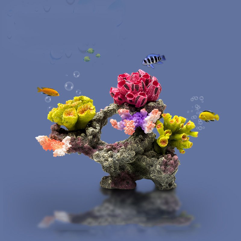 Betta Vissenkom Ornamenten Gro - Planted Aquarium For Betta recensie en prijs