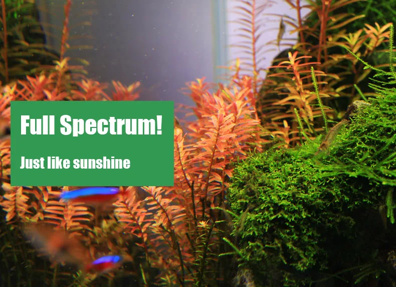 Spiritedos C-serie ADA-stijl P - Aquarium Planted Tank Light recensie en prijs