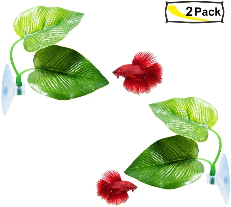 Betta Fish Leaf-hangmat die de - Planted Aquarium For Betta recensie en prijs