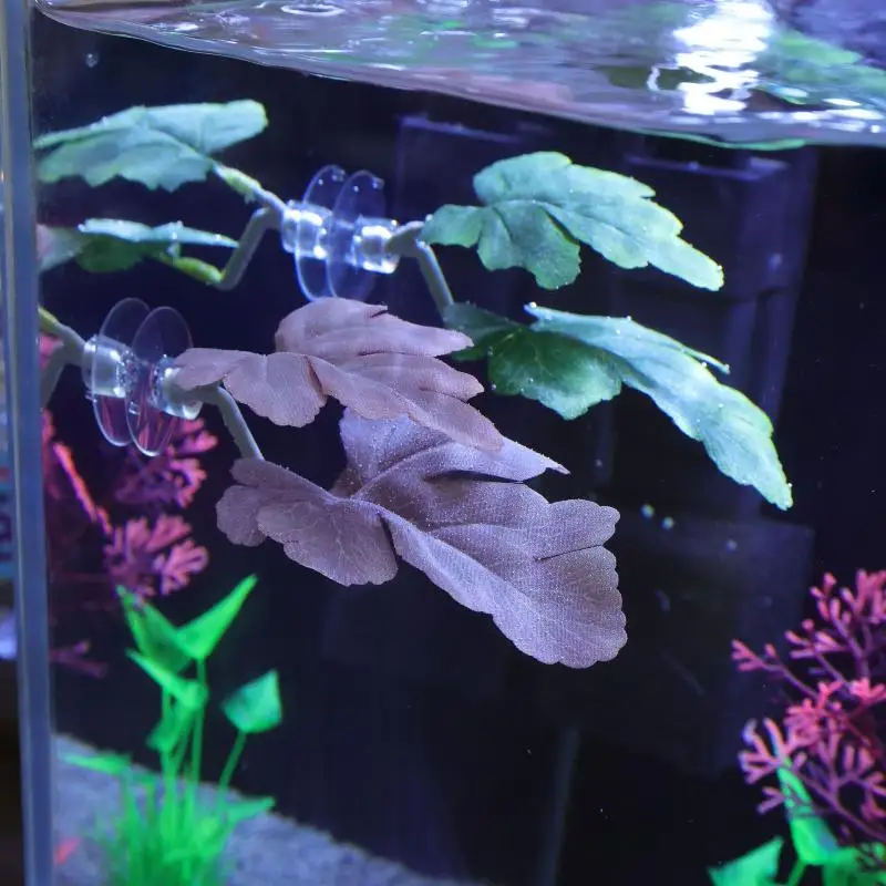 Betta Fish Leaf Hangmat Aquari - Planted Aquarium For Betta recensie en prijs