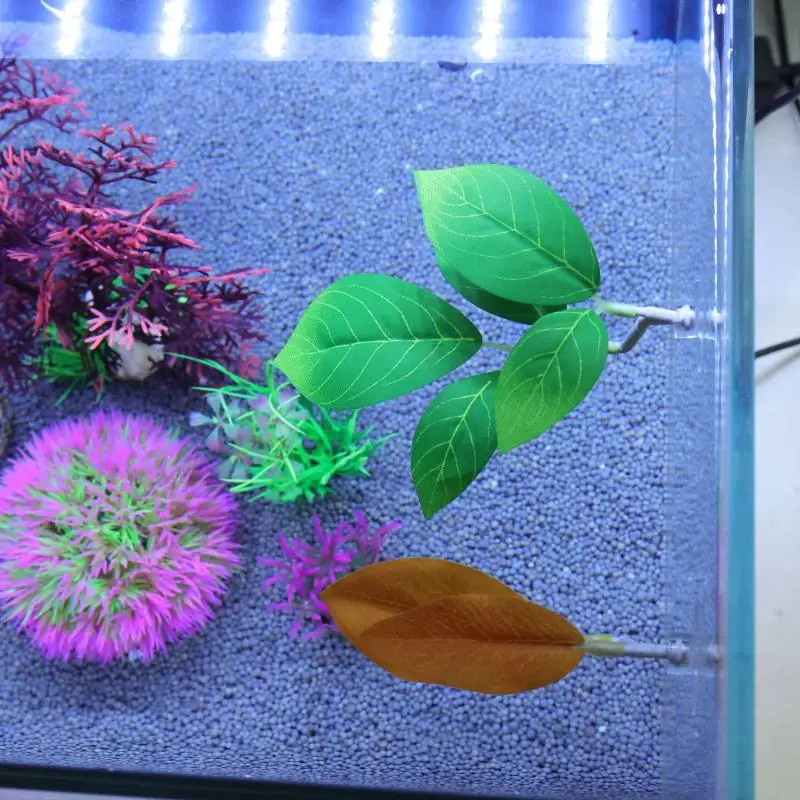 Betta Fish Leaf Hangmat Aquari - Planted Aquarium For Betta recensie en prijs
