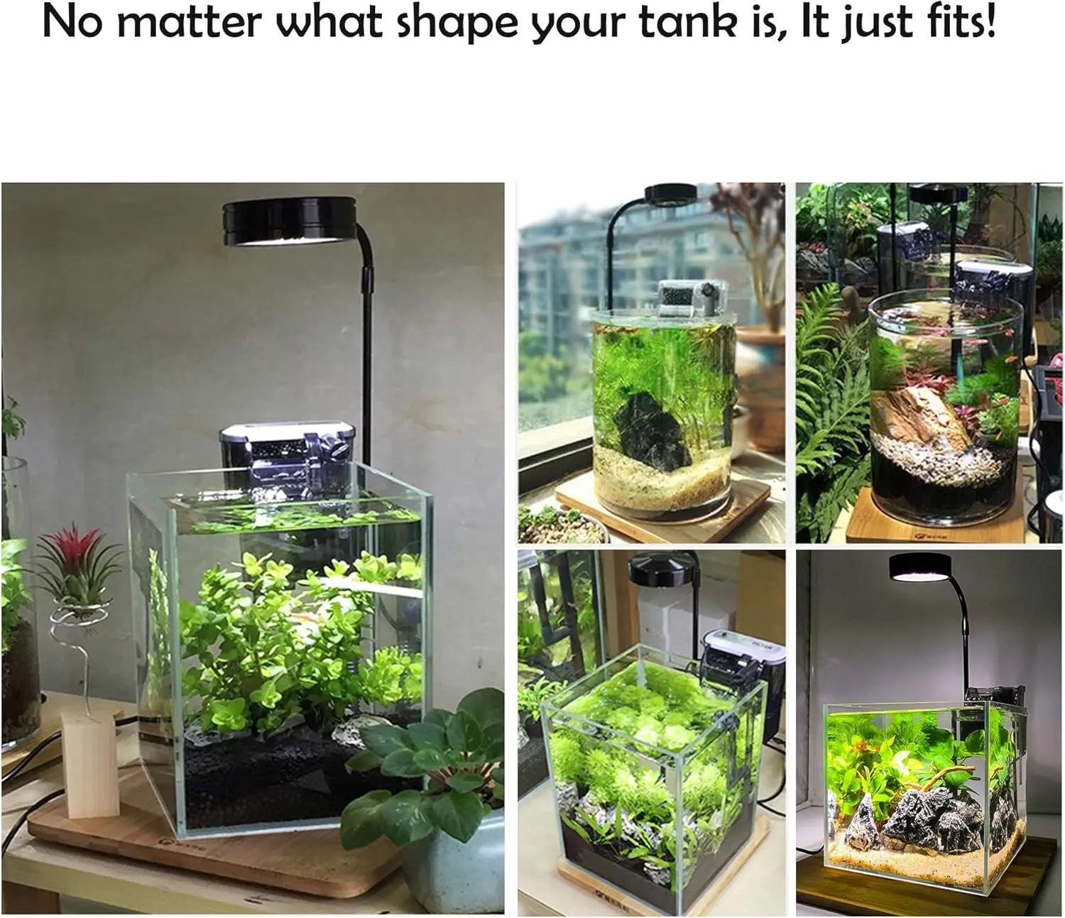 LED-aquariumgroeilicht met bam - Planted Aquarium For Betta recensie en prijs