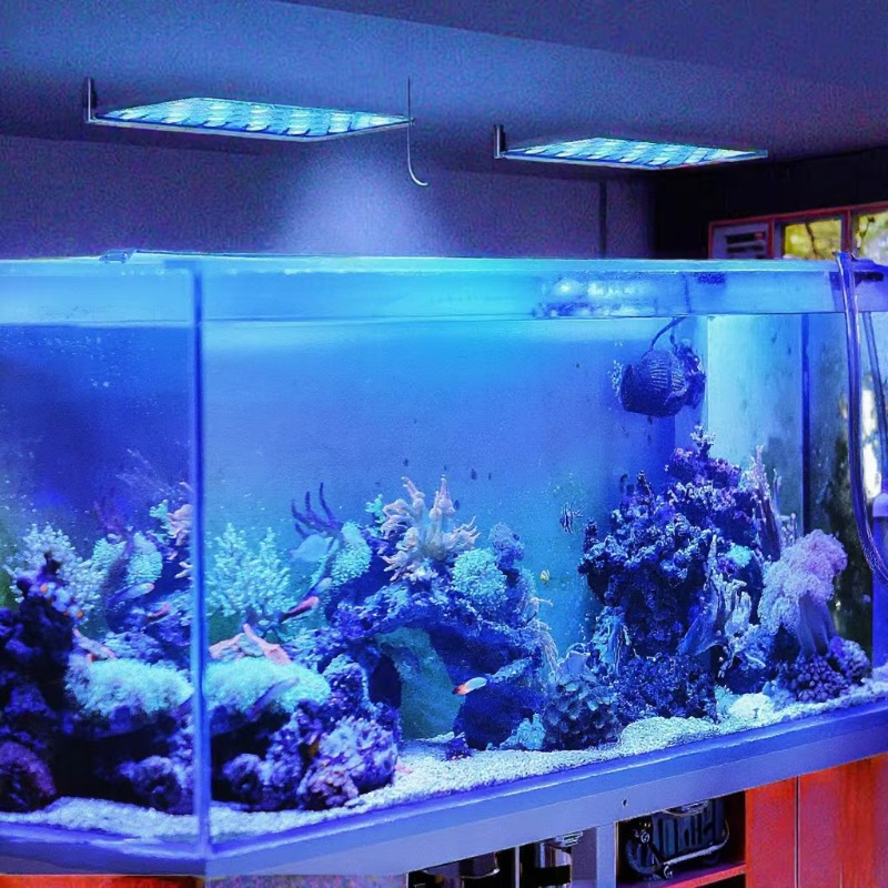 165W Dimbare WiFi APP-gestuurd - Planted Aquarium Models recensie en prijs