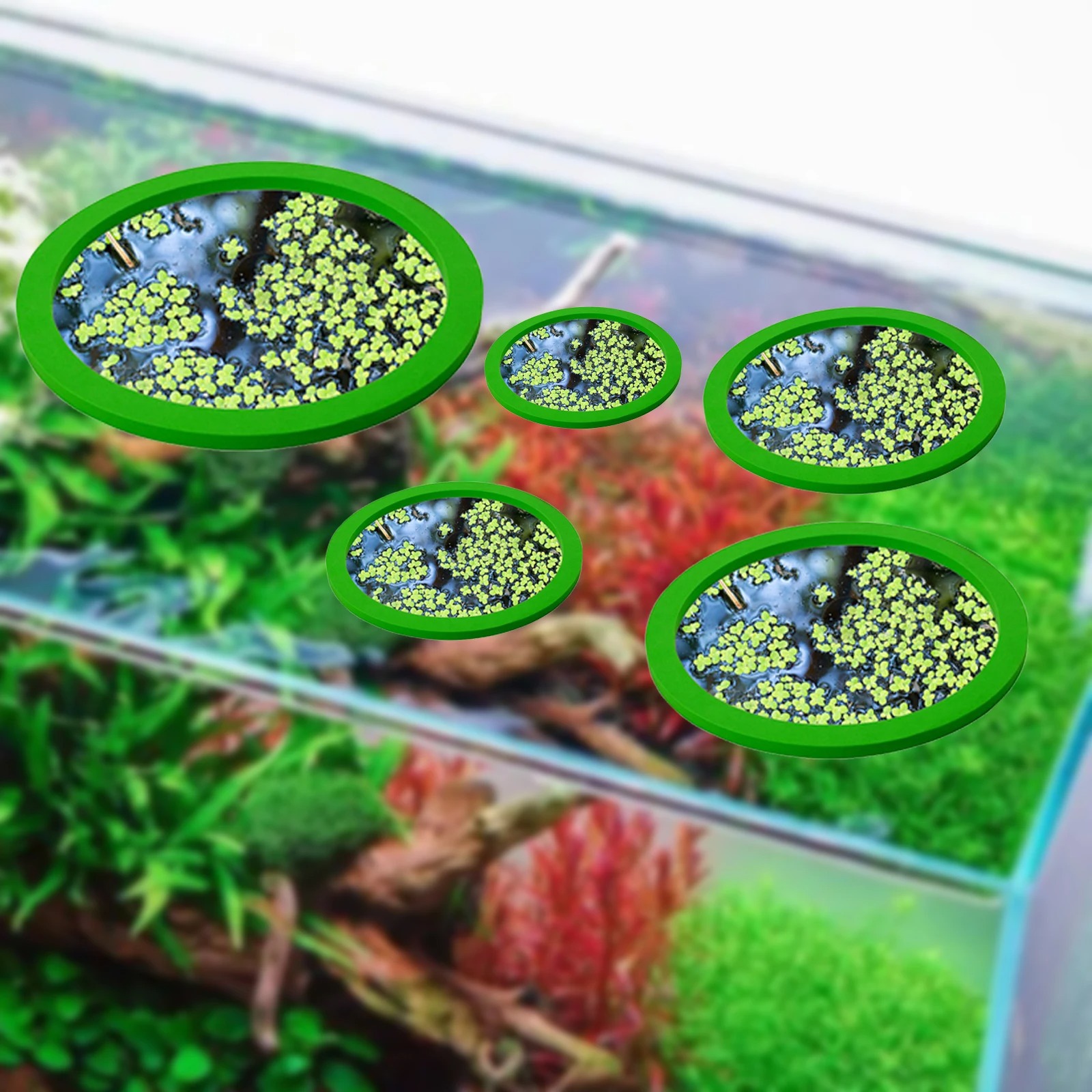 5 stks EVA Vis Voeden Ring Aqu - Planted Aquarium With Fish recensie en prijs