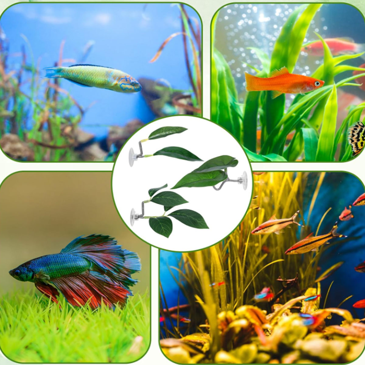 1 PC Betta Vis Hangmat Zacht A - Planted Aquarium For Betta recensie en prijs