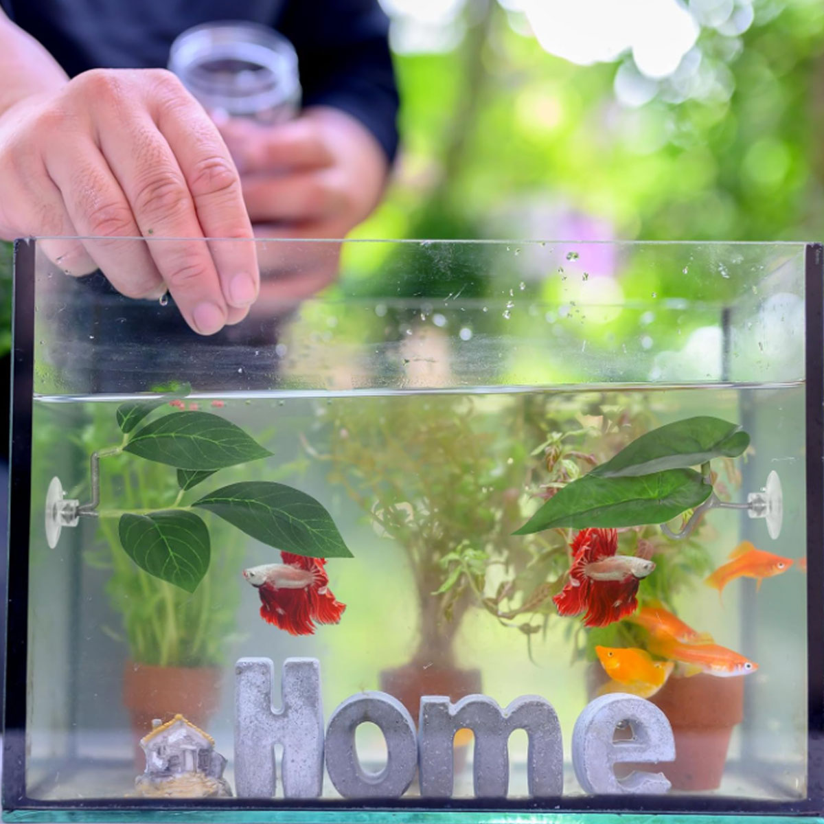 1 PC Betta Vis Hangmat Zacht A - Planted Aquarium For Betta recensie en prijs