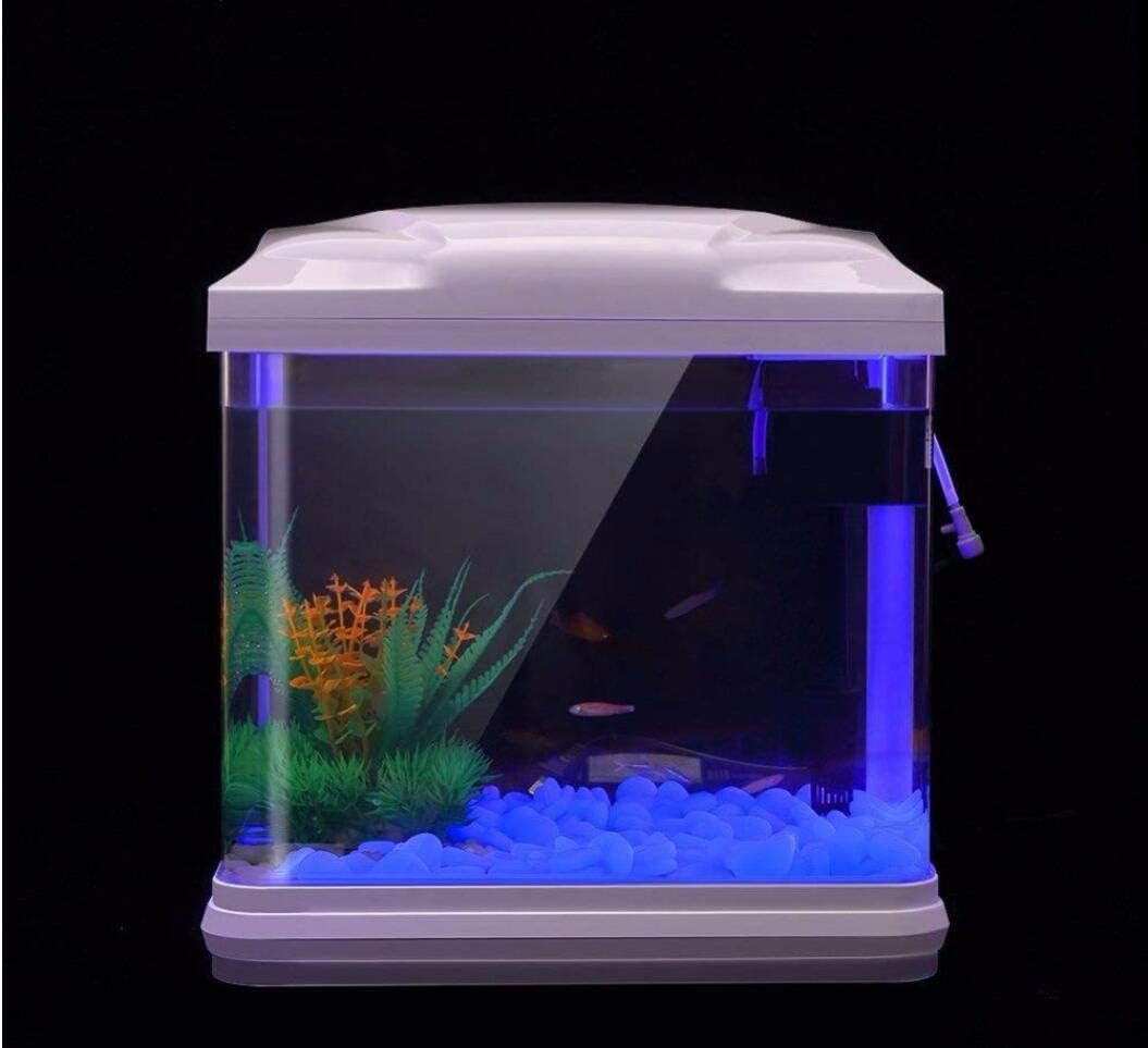Aquarium Rotsen Glow Blue Kiez - Planted Aquarium With Fish recensie en prijs