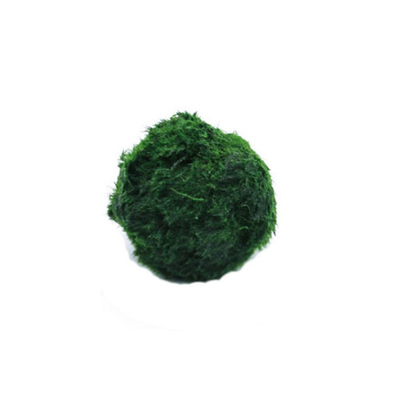 Marimo Mos Ballen Live Aquariu - Aquarium Planted Tank Substrate recensie en prijs
