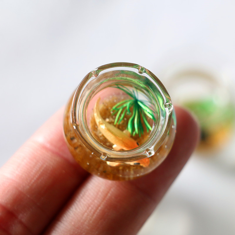 1Pc 1:12 Mini Poppenhuis Simul - Planted Aquarium Models recensie en prijs