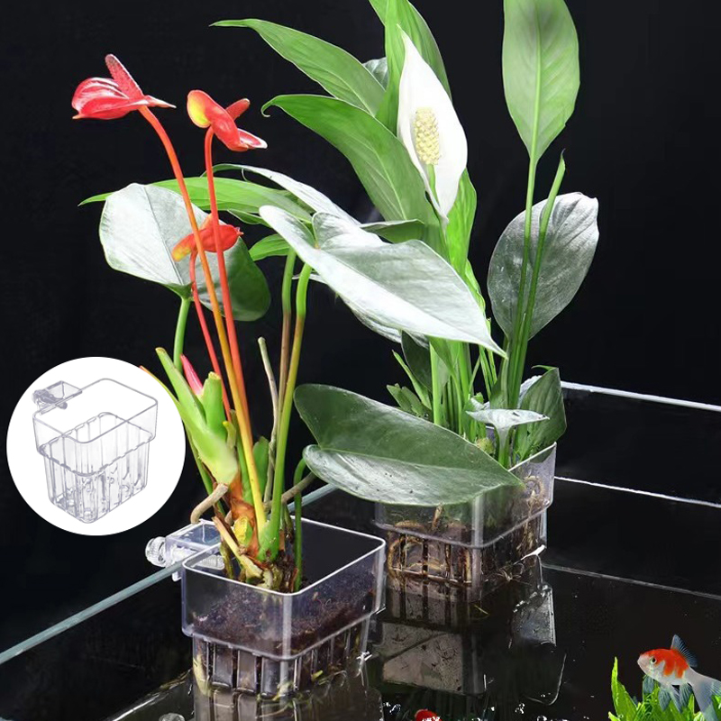Multifunctionele Vis Aquarium  - Planted Aquarium With Fish recensie en prijs