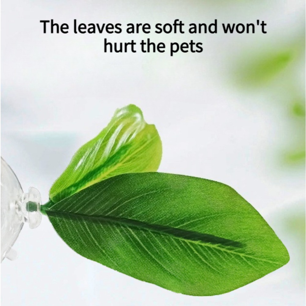 1 stuks groene blad betta vis  - Planted Aquarium For Betta recensie en prijs