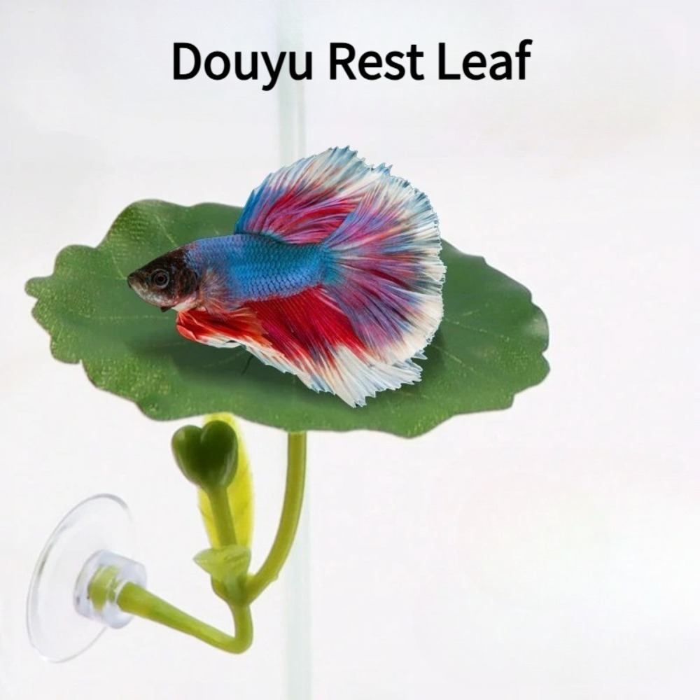 1 stuks groene blad betta vis  - Planted Aquarium For Betta recensie en prijs