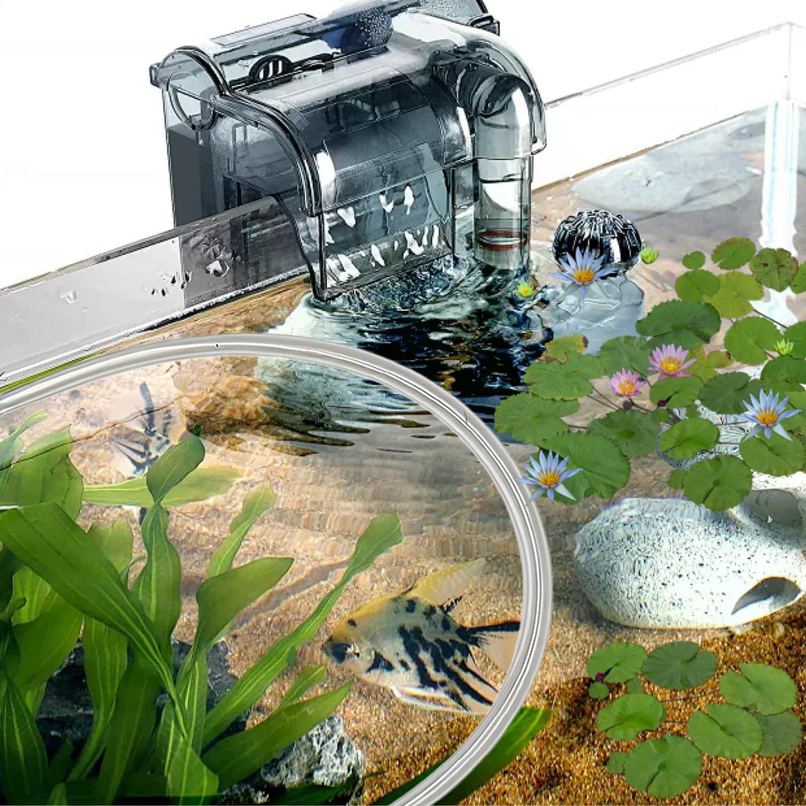 Aquarium drijvende plantenbarr - Planted Aquarium For Betta recensie en prijs