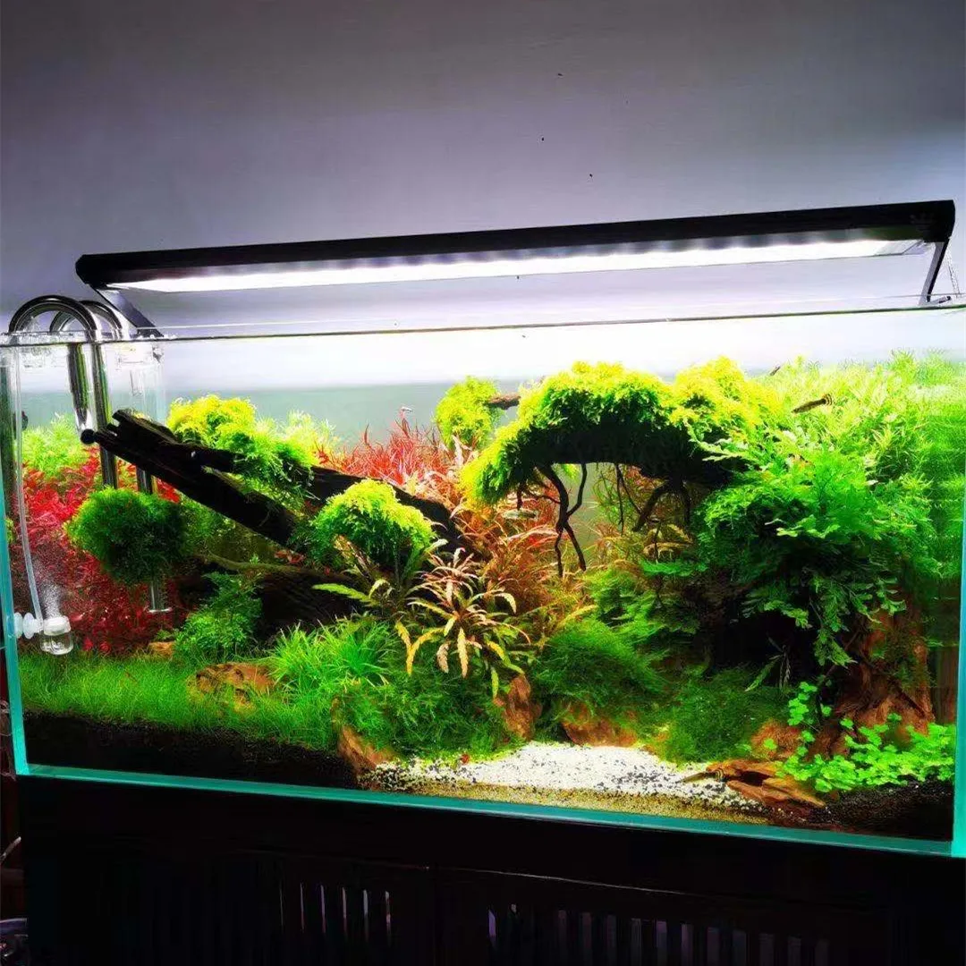 WEEK AQUA P-serie aquariumvols - Aquarium Plant On Top recensie en prijs