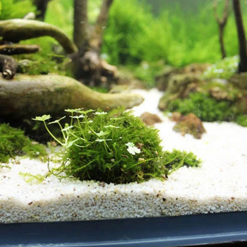2 st Aquarium Mos Bal Houder,  - Planted Aquarium Models recensie en prijs