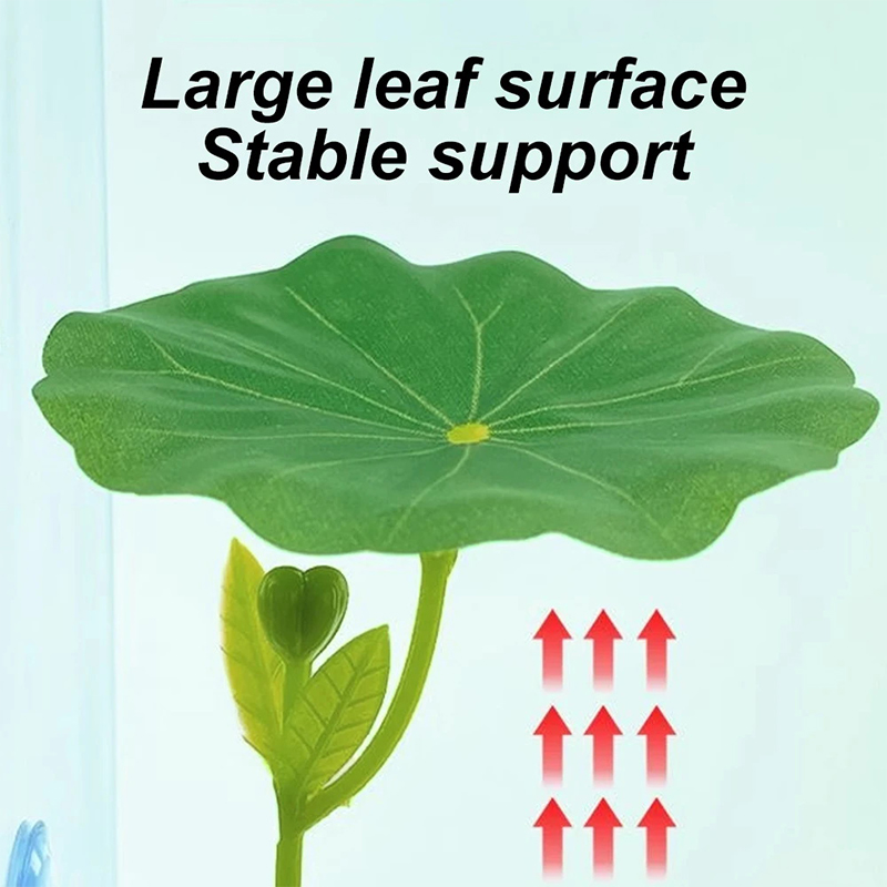 1 Pc Voor Betta Vis Stressverm - Planted Aquarium For Betta recensie en prijs