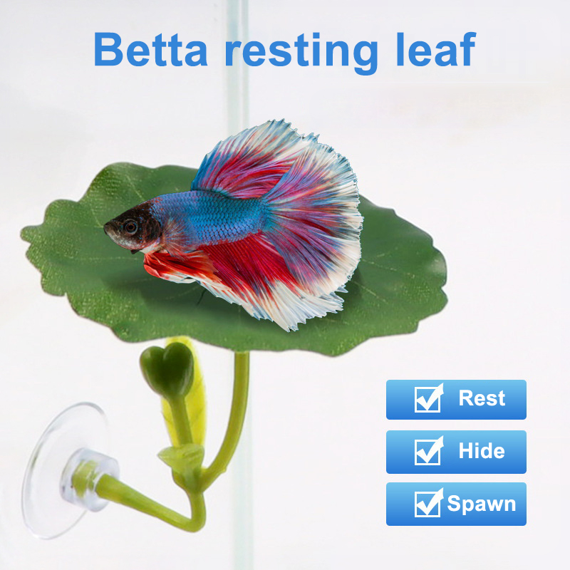 1 Pc Voor Betta Vis Stressverm - Planted Aquarium For Betta recensie en prijs